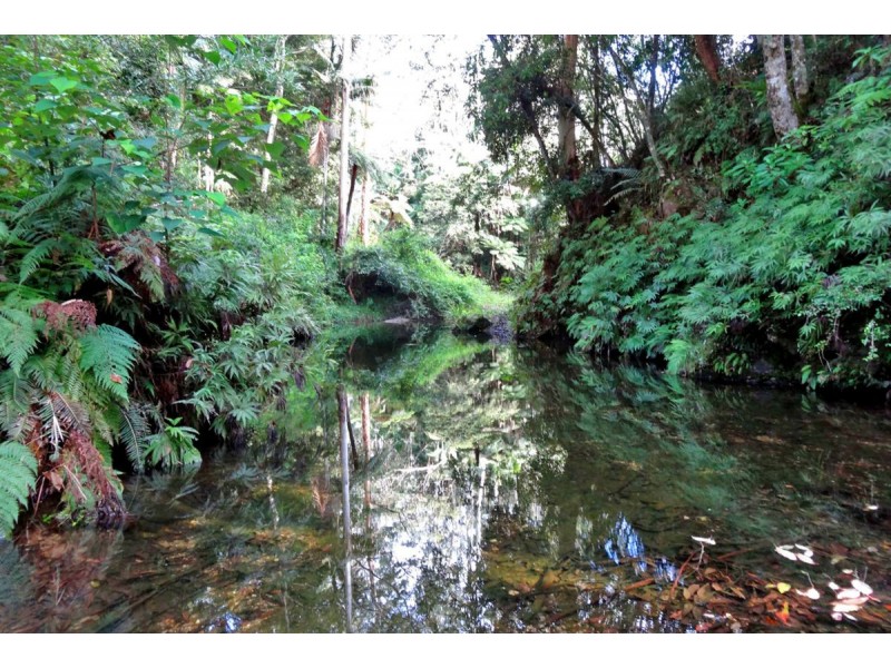 1413 Kalang Road, Bellingen NSW 2454