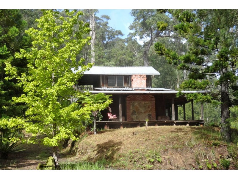 1413 Kalang Road, Bellingen NSW 2454