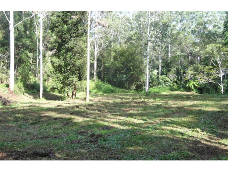 1413 Kalang Road, Bellingen NSW 2454