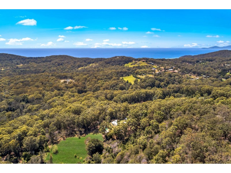 847 Grassy Head Road, Way Way, Scotts Head NSW 2447