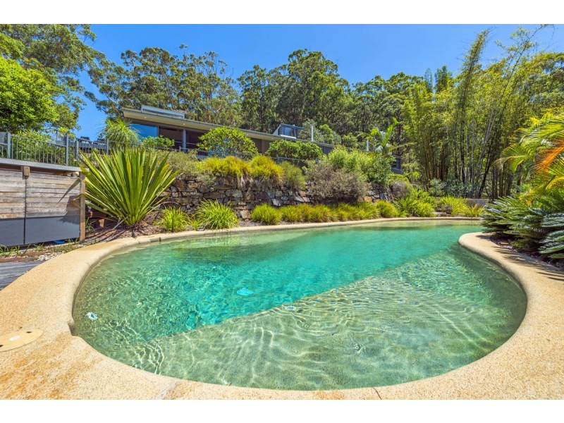 847 Grassy Head Road, Way Way, Scotts Head NSW 2447