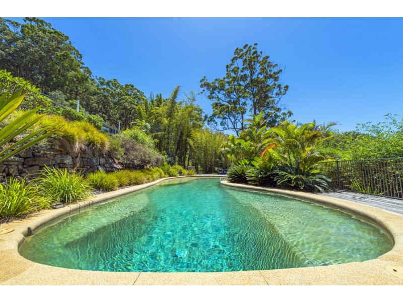 847 Grassy Head Road, Way Way, Scotts Head NSW 2447