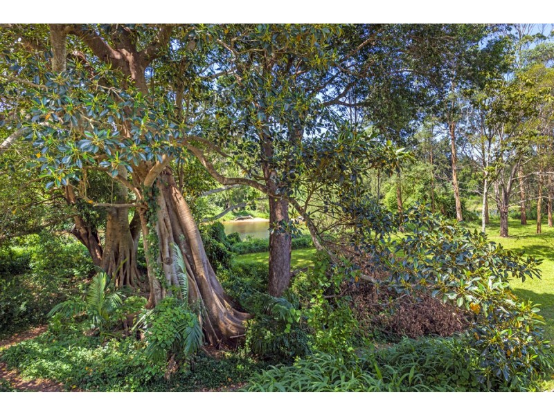 2 Ford Street, Bellingen NSW 2454