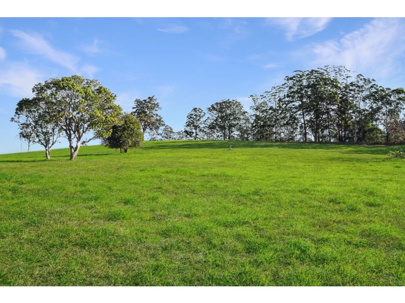 10 Darkwood Road, Thora, Bellingen NSW 2454