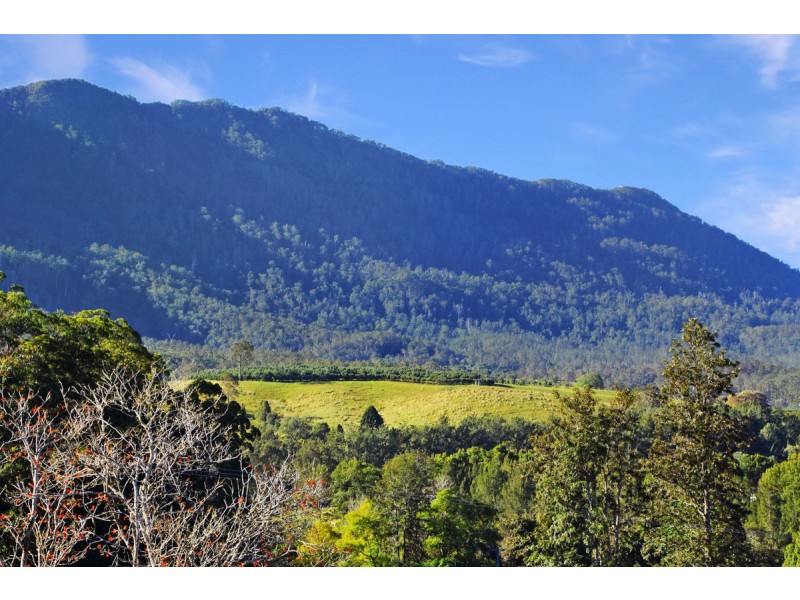 10 Darkwood Road, Thora, Bellingen NSW 2454