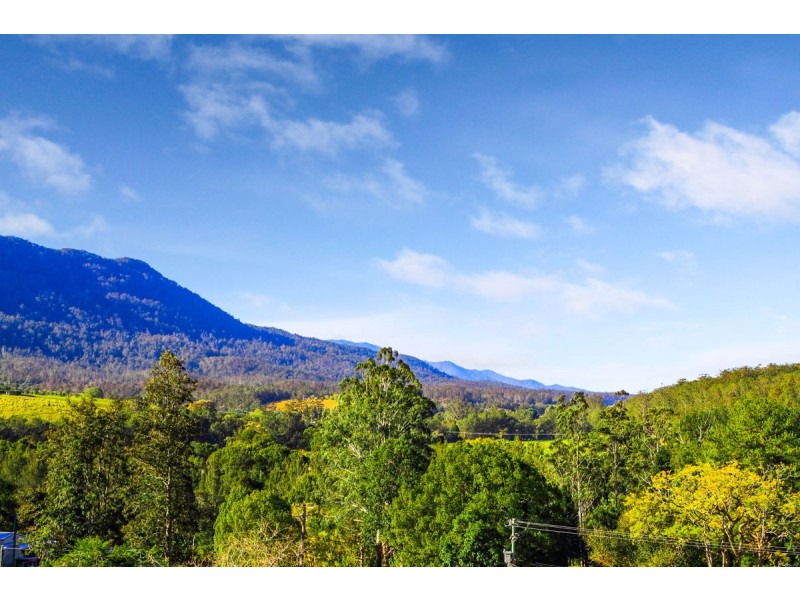 10 Darkwood Road, Thora, Bellingen NSW 2454