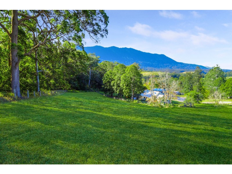 10 Darkwood Road, Thora, Bellingen NSW 2454