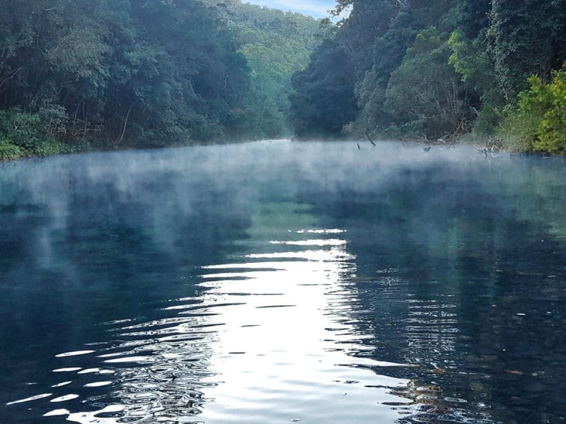 40 Frog Hollow Forest Road, Ulong NSW 2450