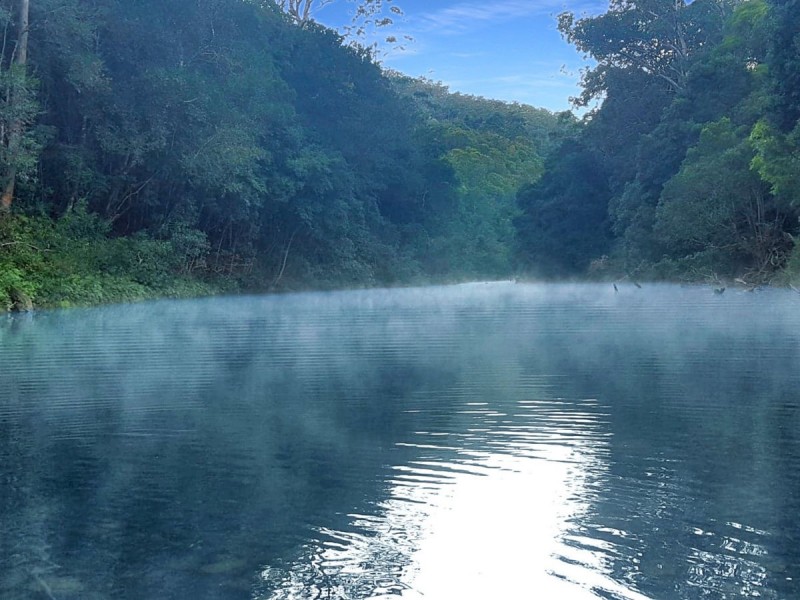 40 Frog Hollow Forest Road, Ulong NSW 2450