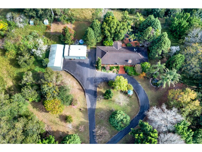 528 Kalang Road, Bellingen NSW 2454