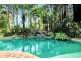 528 Kalang Road, Bellingen NSW 2454