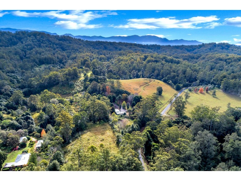528 Kalang Road, Bellingen NSW 2454