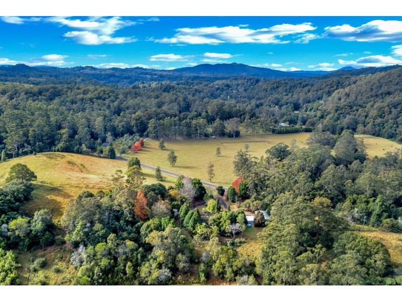 528 Kalang Road, Bellingen NSW 2454
