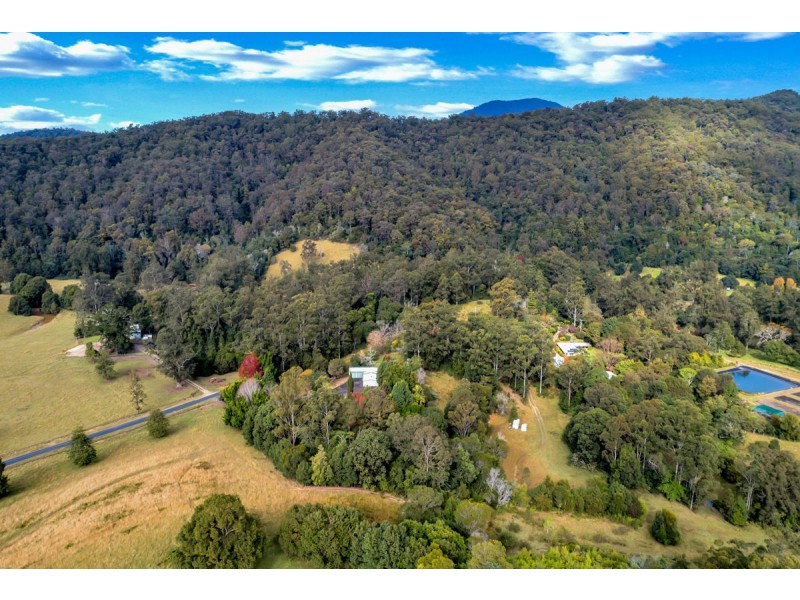 528 Kalang Road, Bellingen NSW 2454