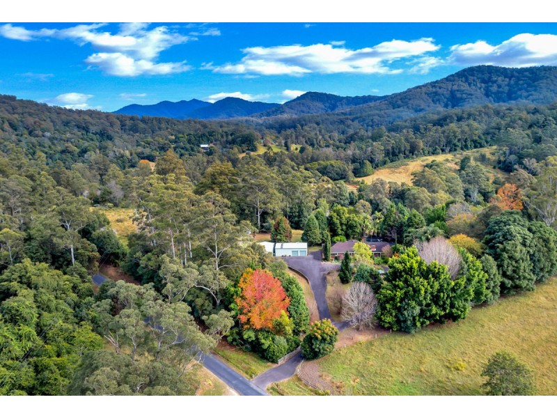 528 Kalang Road, Bellingen NSW 2454