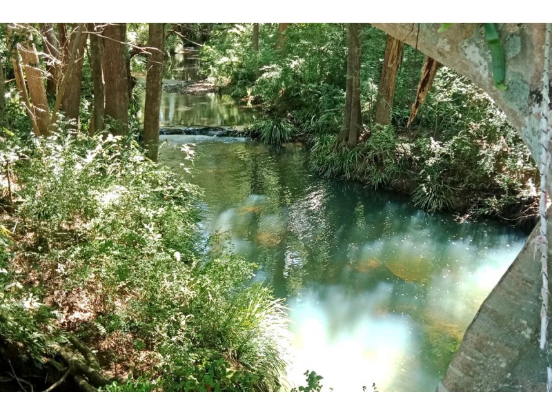 999 Orara Way, Nana Glen NSW 2450