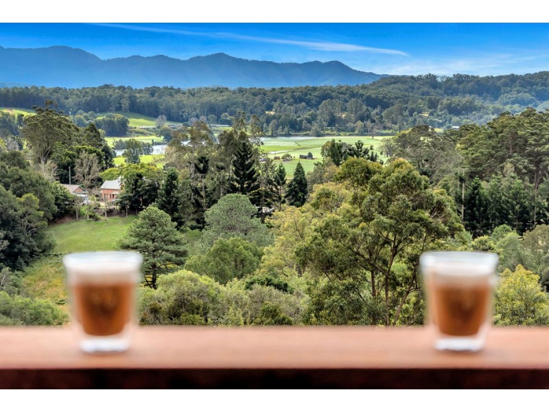 19 Henry Boultwood Drive, Fernmount, Bellingen NSW 2454