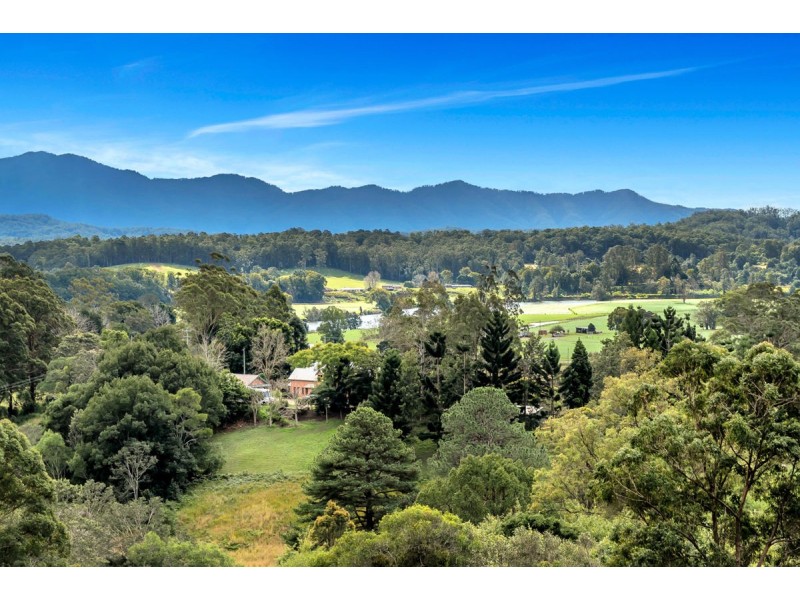 19 Henry Boultwood Drive, Fernmount, Bellingen NSW 2454