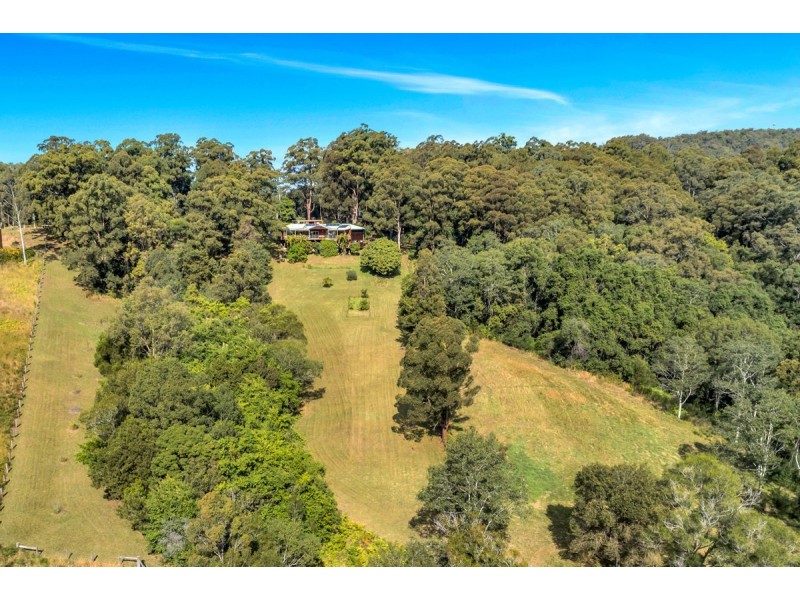 19 Henry Boultwood Drive, Fernmount, Bellingen NSW 2454