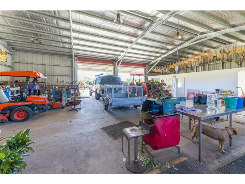 50 Kungala Road, Halfway Creek NSW 2460