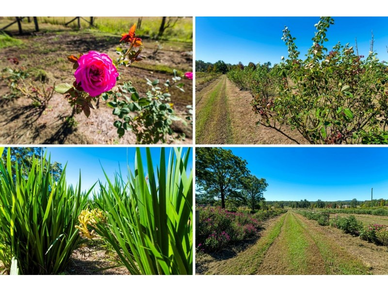 50 Kungala Road, Halfway Creek NSW 2460