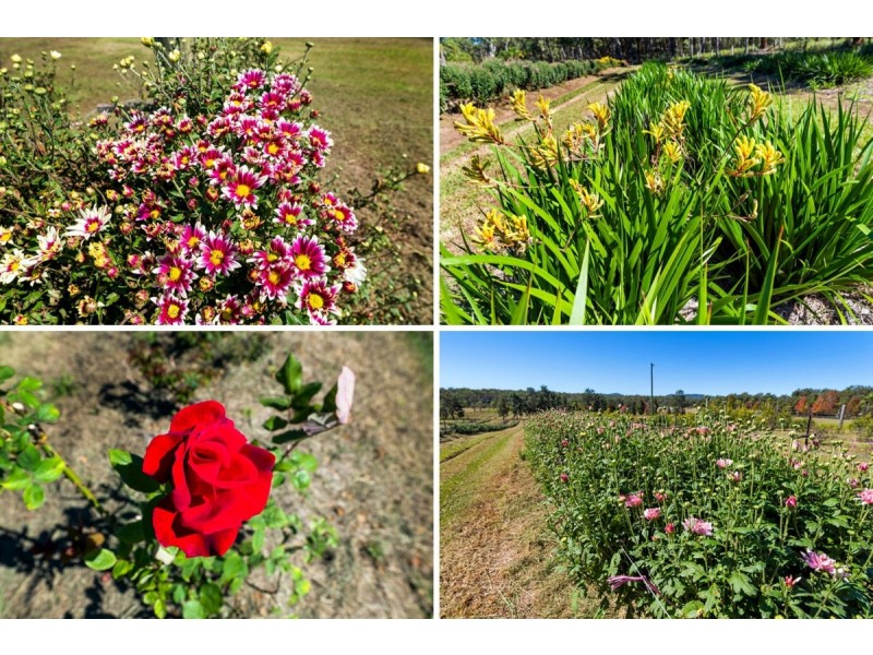 50 Kungala Road, Halfway Creek NSW 2460