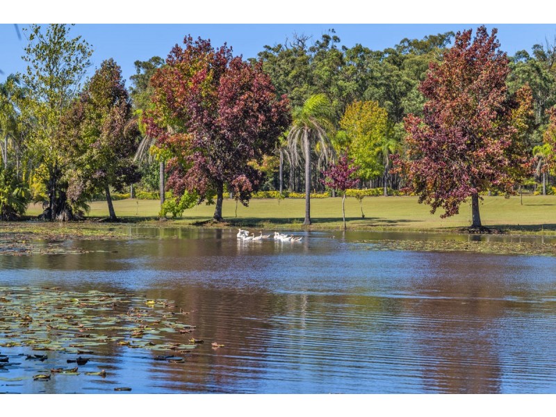 50 Kungala Road, Halfway Creek NSW 2460