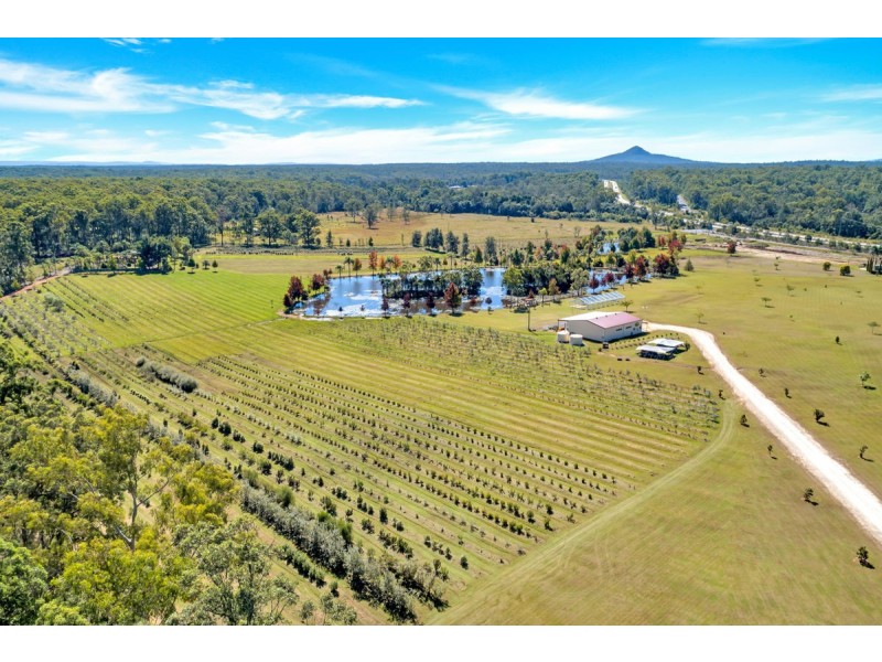 50 Kungala Road, Halfway Creek NSW 2460