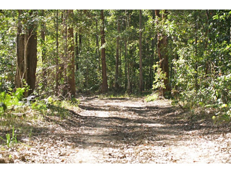 548 Kalang Road, Kalang NSW 2454