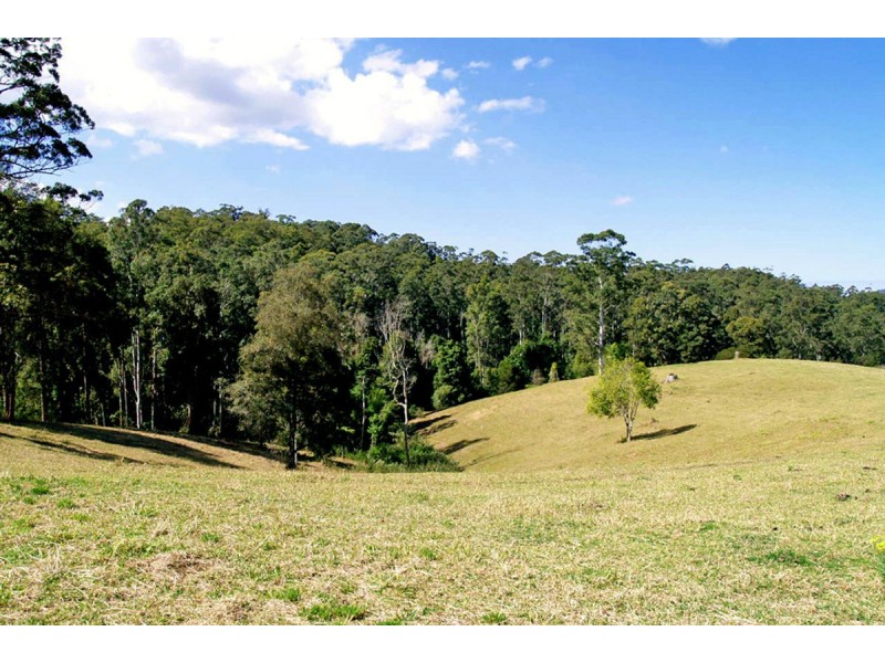 548 Kalang Road, Kalang NSW 2454