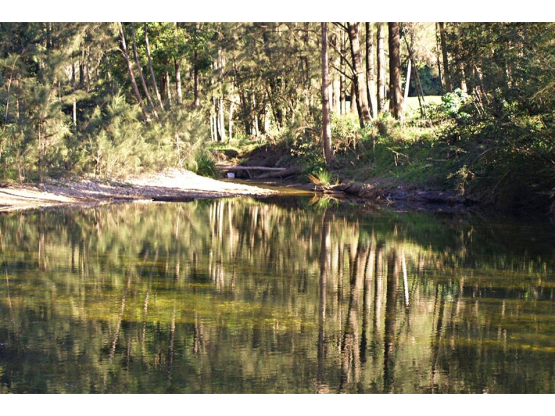 548 Kalang Road, Kalang NSW 2454