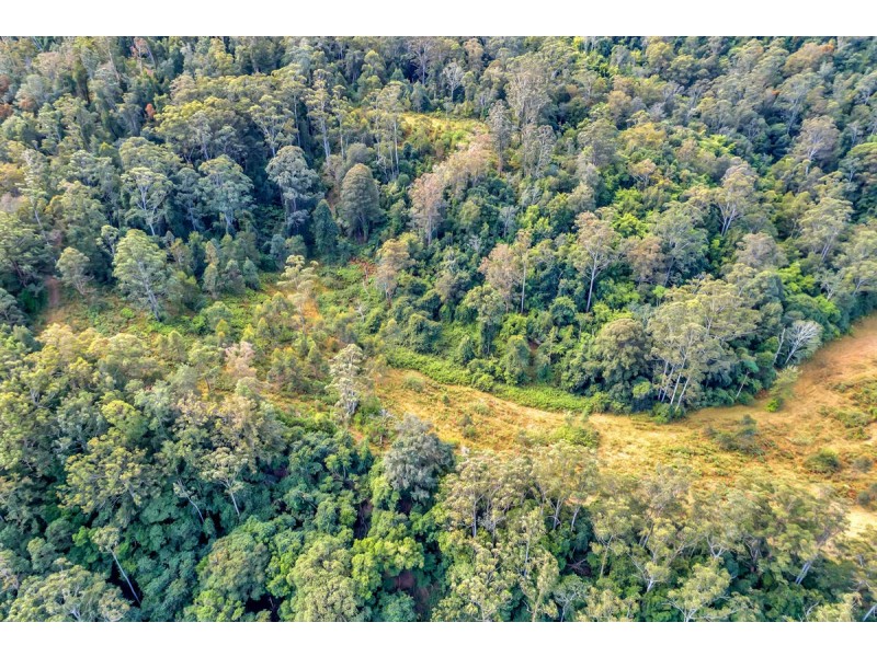 548 Kalang Road, Kalang NSW 2454