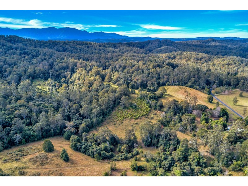 548 Kalang Road, Kalang NSW 2454
