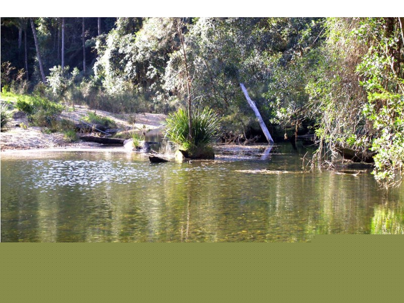 548 Kalang Road, Kalang NSW 2454