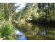 548 Kalang Road, Kalang NSW 2454