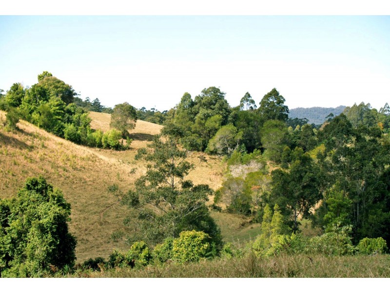 548 Kalang Road, Kalang NSW 2454