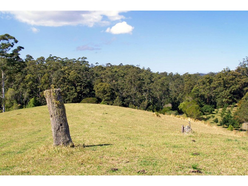 548 Kalang Road, Kalang NSW 2454