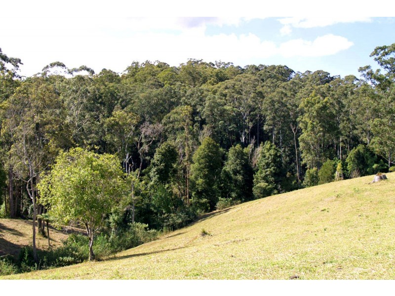 548 Kalang Road, Kalang NSW 2454