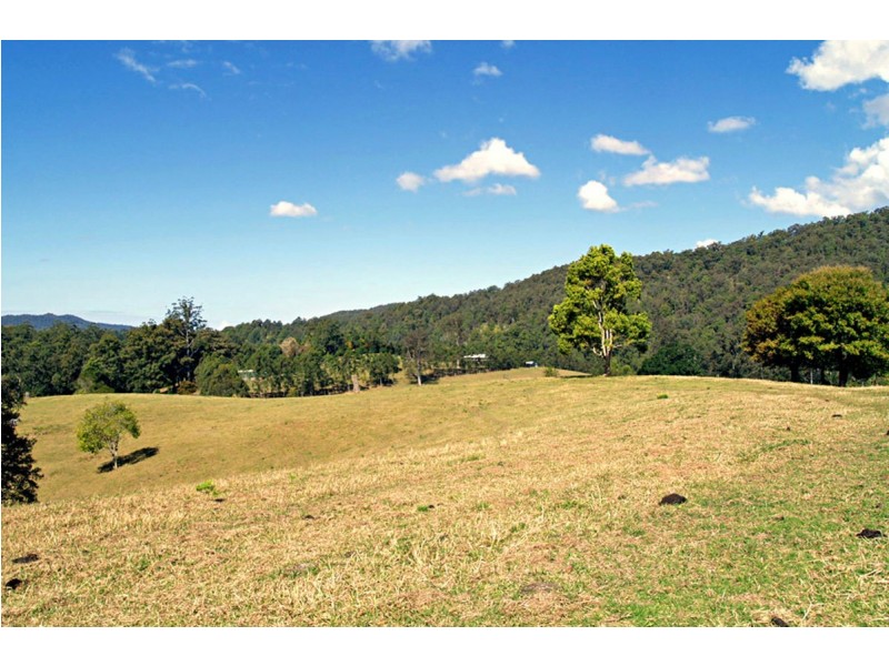 548 Kalang Road, Kalang NSW 2454