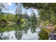 697 Darkwood Road, Bellingen NSW 2454
