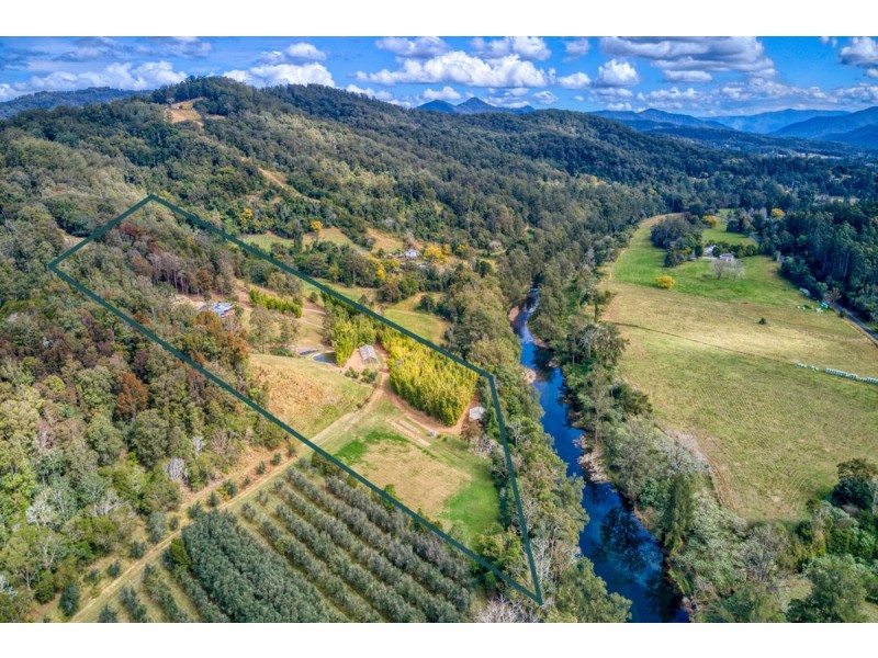 697 Darkwood Road, Bellingen NSW 2454
