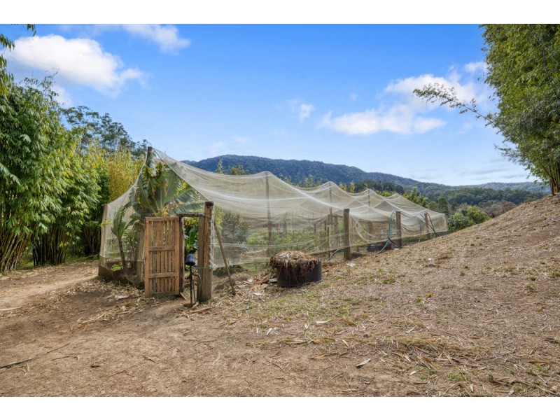 697 Darkwood Road, Bellingen NSW 2454