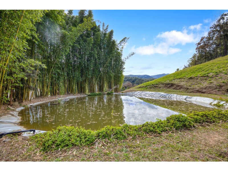 697 Darkwood Road, Bellingen NSW 2454