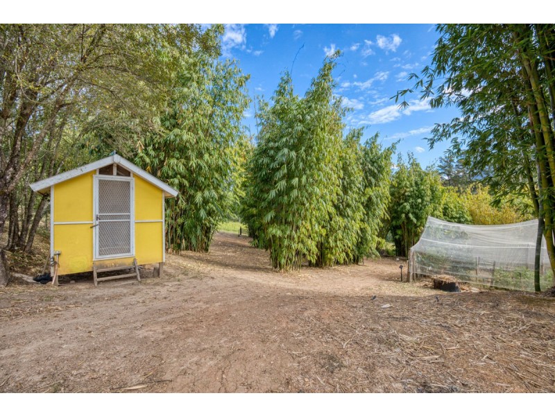 697 Darkwood Road, Bellingen NSW 2454