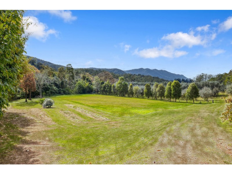 697 Darkwood Road, Bellingen NSW 2454