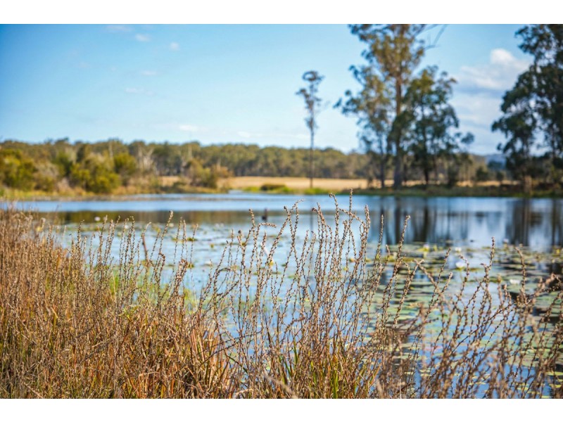 164 Omega Drive, Kungala NSW 2460