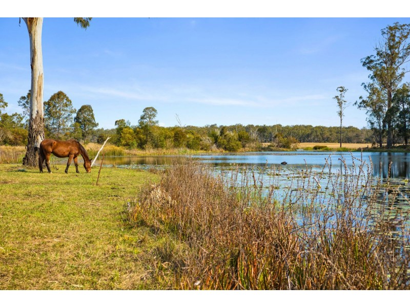 164 Omega Drive, Kungala NSW 2460