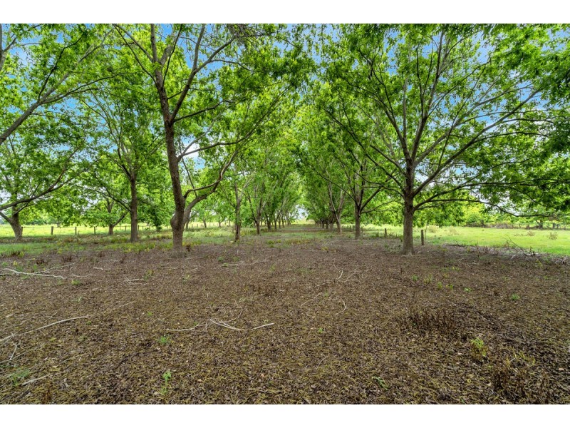 213 Ryan Street, South Grafton NSW 2460