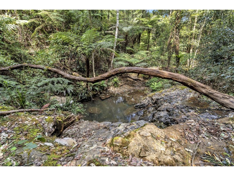 Lot 5 Lower Bobo Road, Ulong NSW 2450