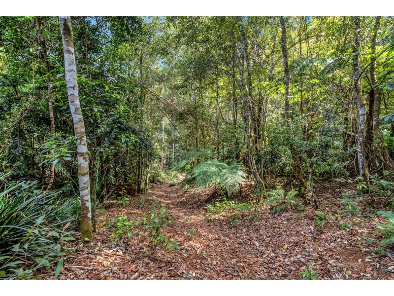 Lot 5 Lower Bobo Road, Ulong NSW 2450